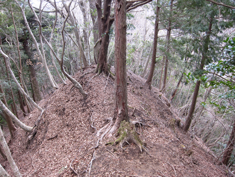 20190205hike (237)